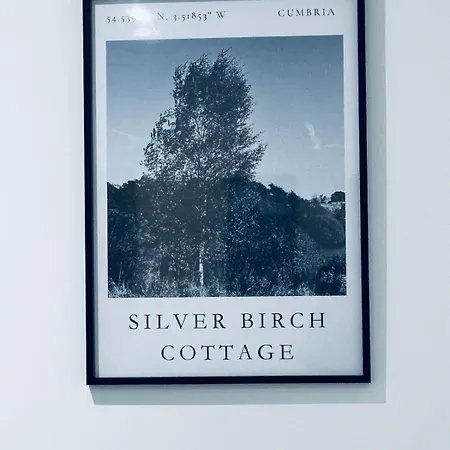 Silverbirch - 3 Bedrooms Holiday home *