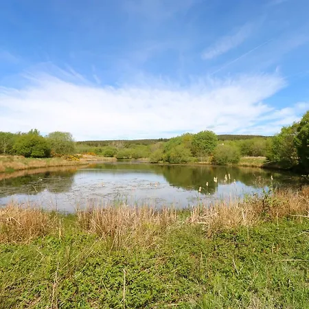 Silverbirch - 3 Bedrooms - Sleeps 6 Holiday home *