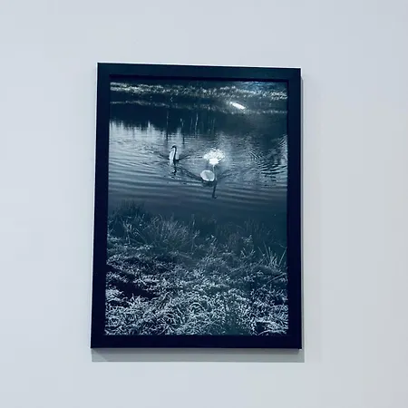 Silverbirch - 3 Bedrooms - Sleeps 6 Holiday home Frizington