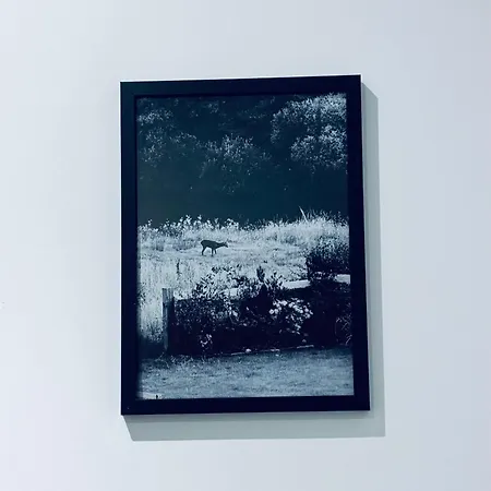 Holiday home Silverbirch - 3 Bedrooms - Sleeps 6 *