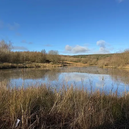 Holiday home Silverbirch - 3 Bedrooms - Sleeps 6 Frizington