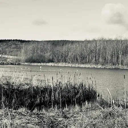 Silverbirch - 3 Bedrooms - Sleeps 6 Сasa de vacaciones Frizington