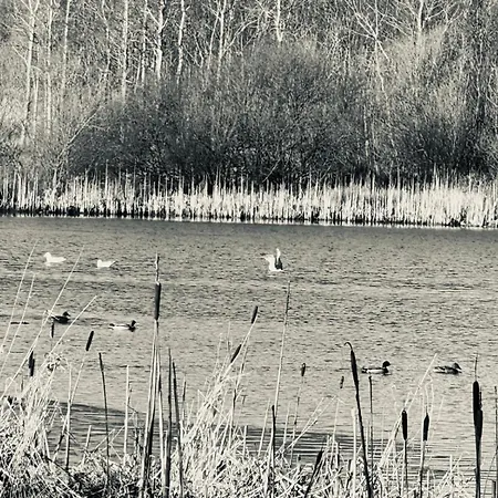 Сasa de vacaciones Silverbirch - 3 Bedrooms - Sleeps 6